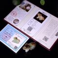 Natural Hetian Jade Zodiac Dog Handpiece, displaying its unique design and smooth, luxurious feel. With its certification